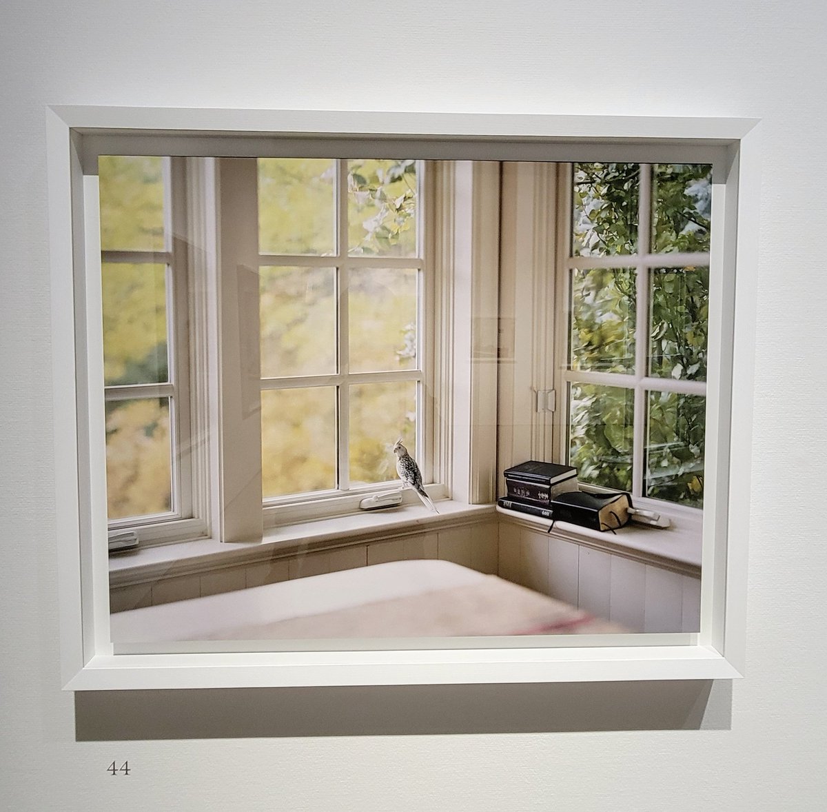 NikitaWong2017's tweet image. 這趟碰巧在 #東京都写真美術館 看到了很喜歡 #alecsoth 的攝影作品，回想起疫情某年在上海西岸美術館群那一帶的愜意看展時光。
同期的另一個展不推薦。
#aroomofrooms