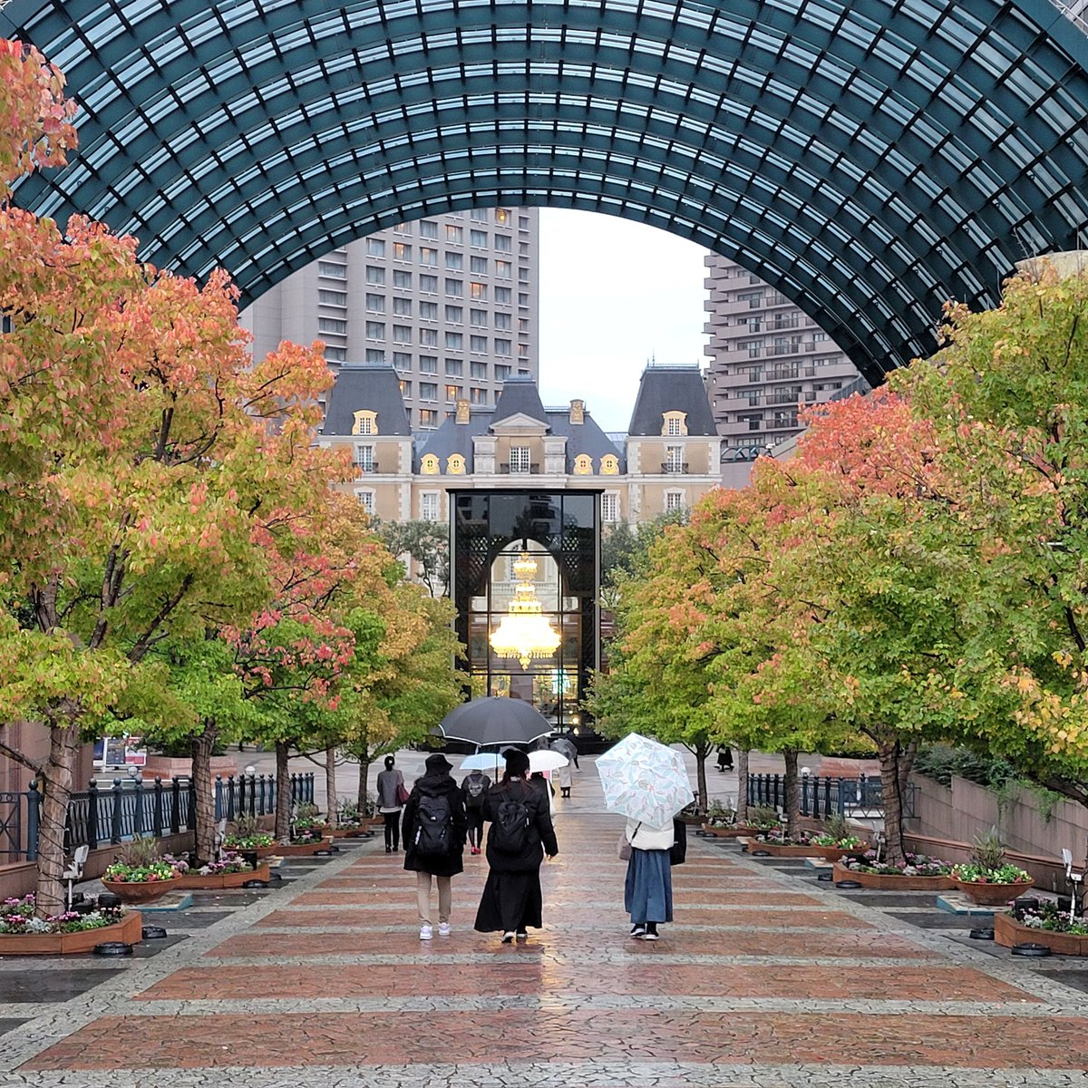 NikitaWong2017's tweet image. 這趟碰巧在 #東京都写真美術館 看到了很喜歡 #alecsoth 的攝影作品，回想起疫情某年在上海西岸美術館群那一帶的愜意看展時光。
同期的另一個展不推薦。
#aroomofrooms