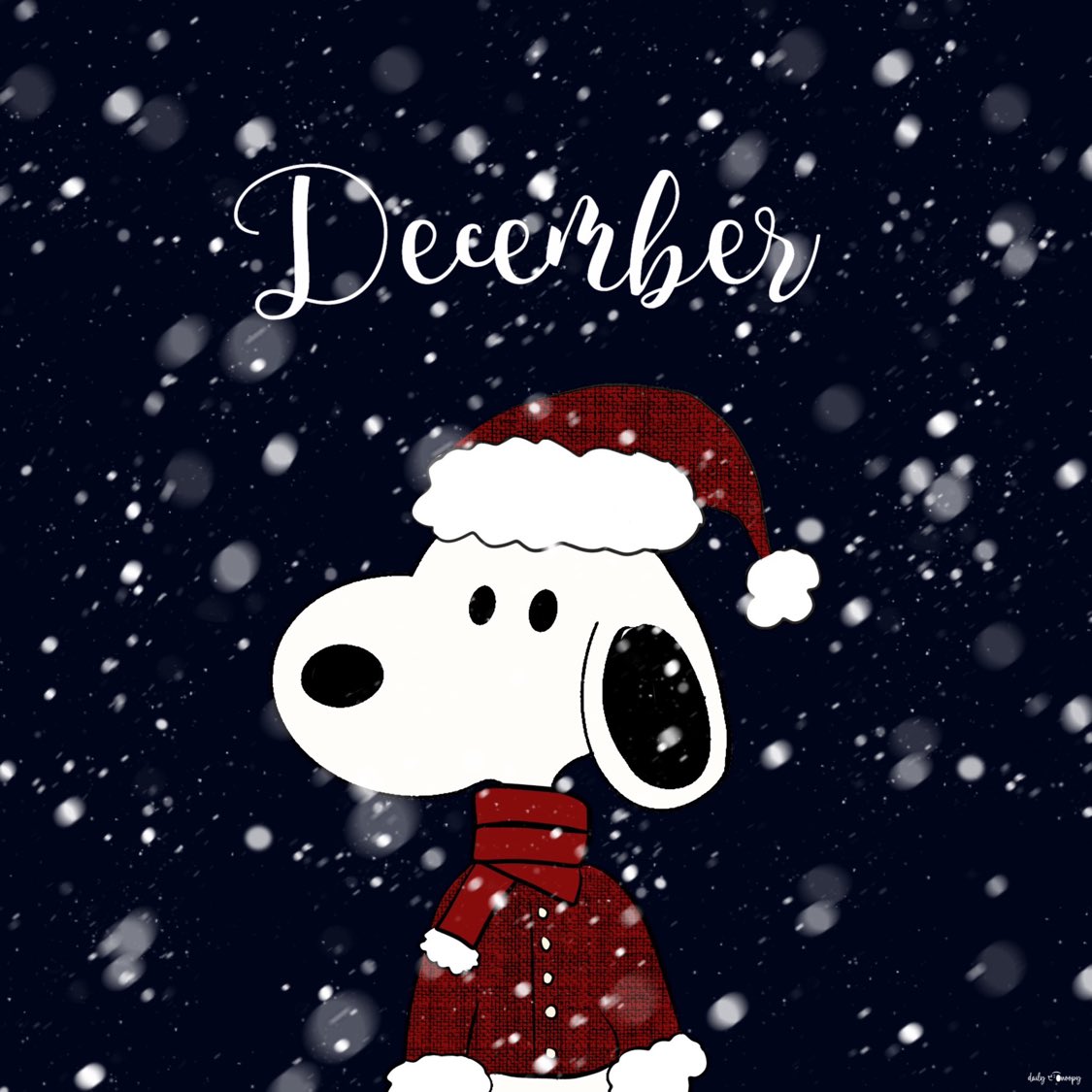 the last chapter of the year ☃️ #Peanuts