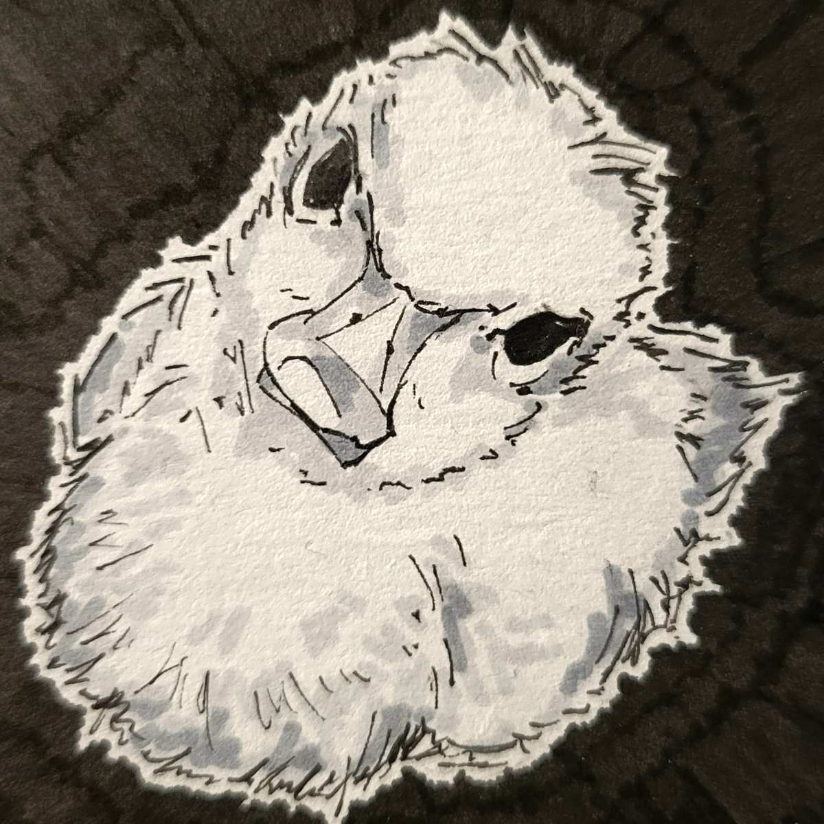 ZavalaDigitals tweet media