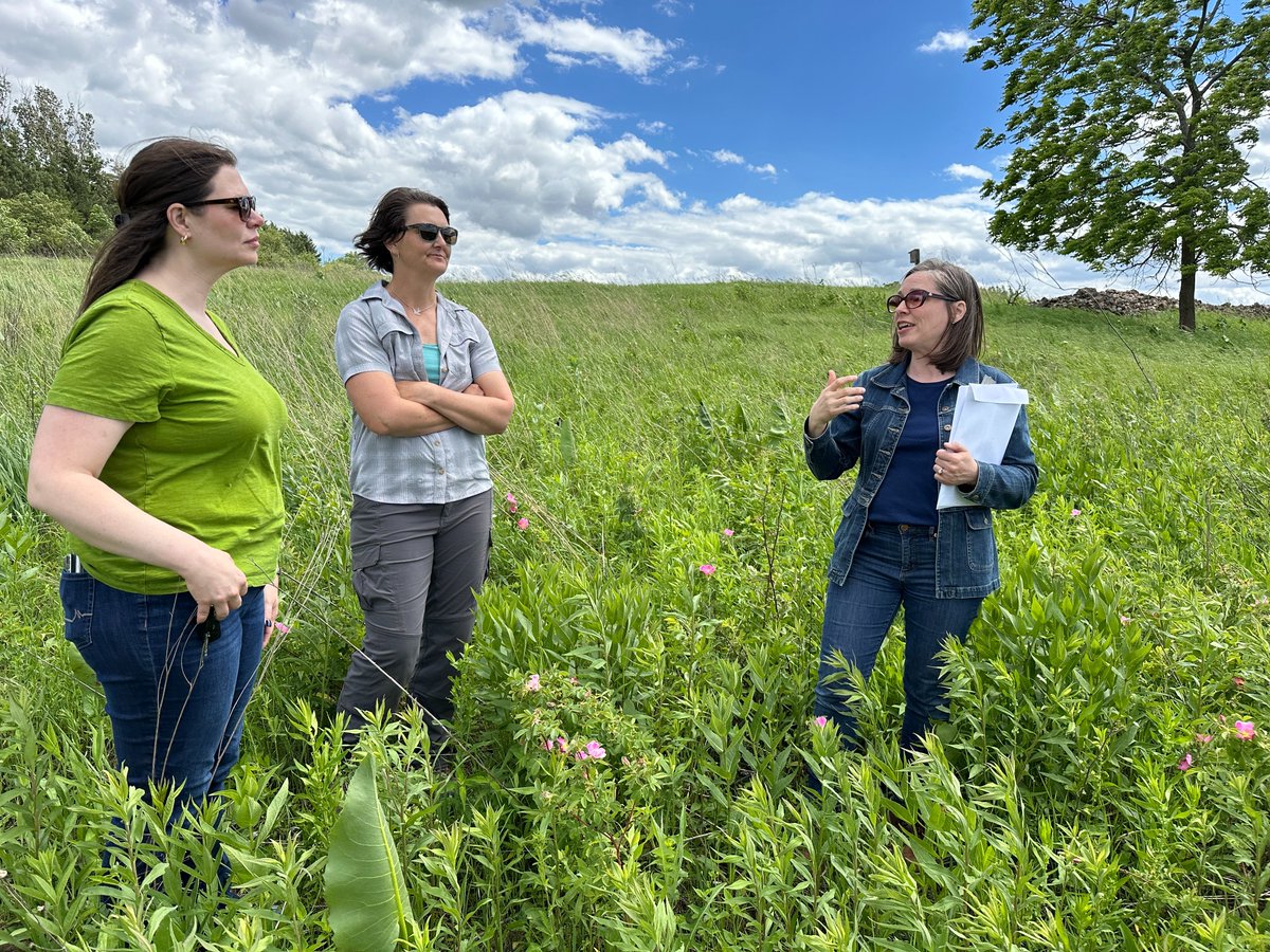 Rep Jenna Jacobson tweet media