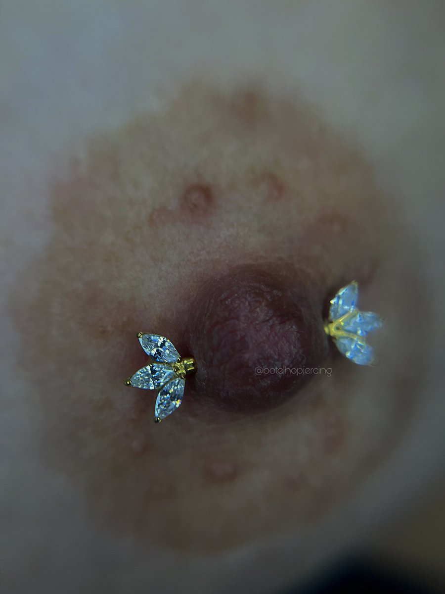 botelhopiercing's tweet photo. Titânio • Zircônias Navetes • Atendimento somente com hora marcada.

#piercingintimo #nipplepiercing #piercingnomamilo #mamilopiercing #novaiguaçu https://t.co/tlW3CIZPZV