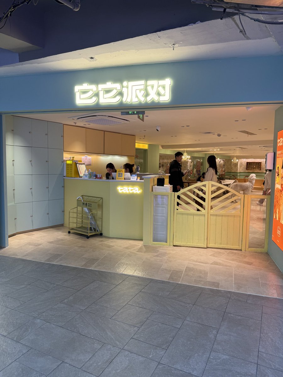 denise 🌸 tweet media