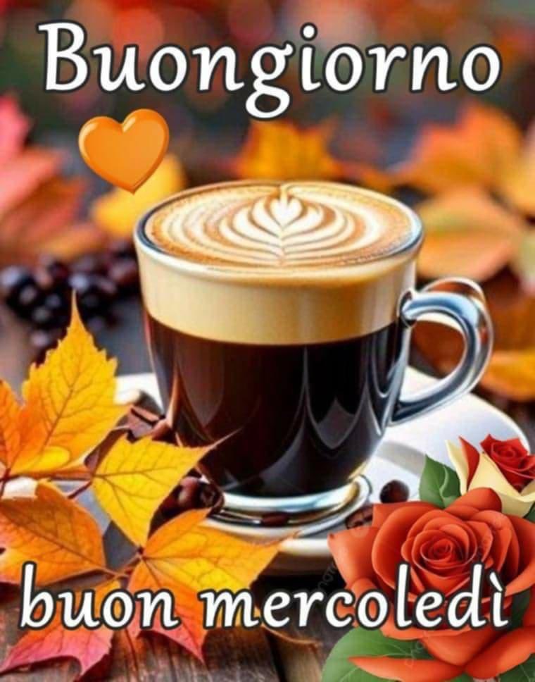 RITABIANCHi56 tweet media