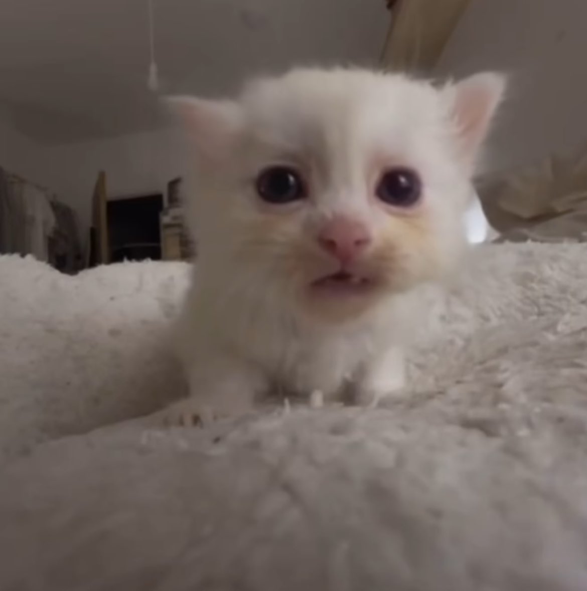 I’m too ready for Thursday