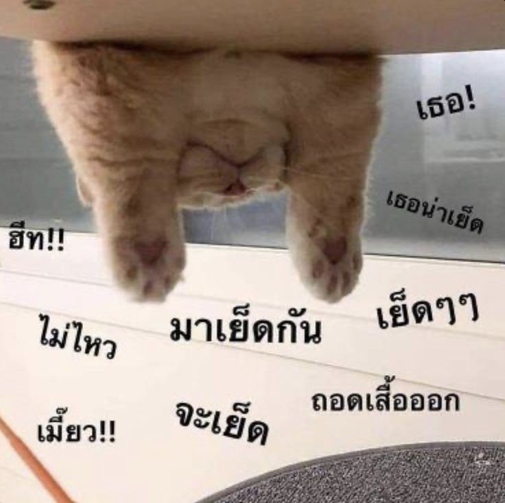ฮีททททท🥲