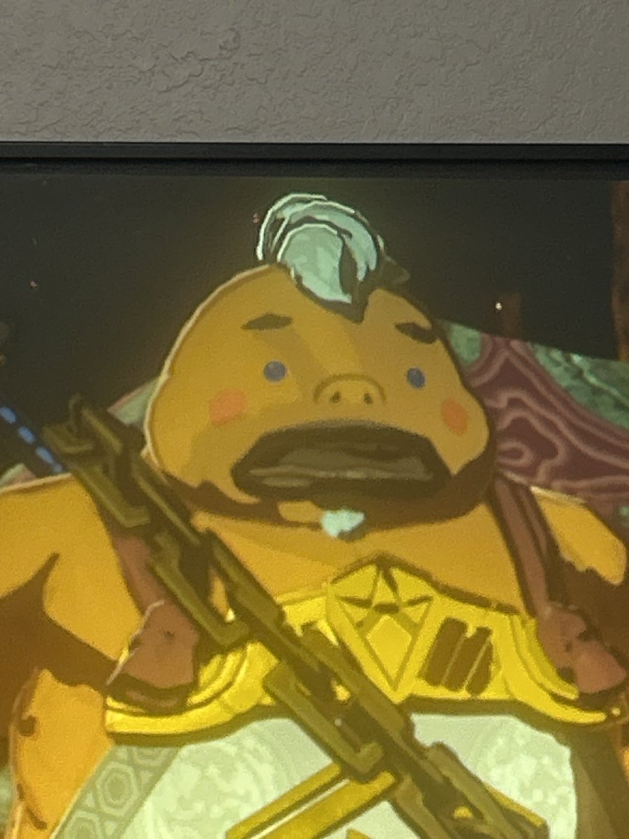 mertschmitt1's tweet photo. Do female gorons exist? If not, how does that work??? https://t.co/fJ6TpvXu44