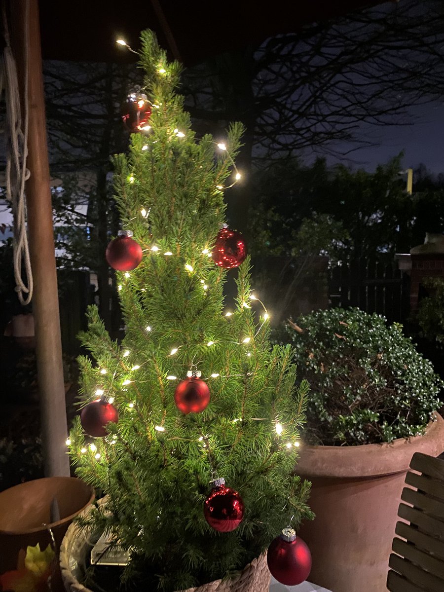 Allen Barbaras: Vivat! Vivat! Vivat! zum Namenstag. #Barbaratag 🌸