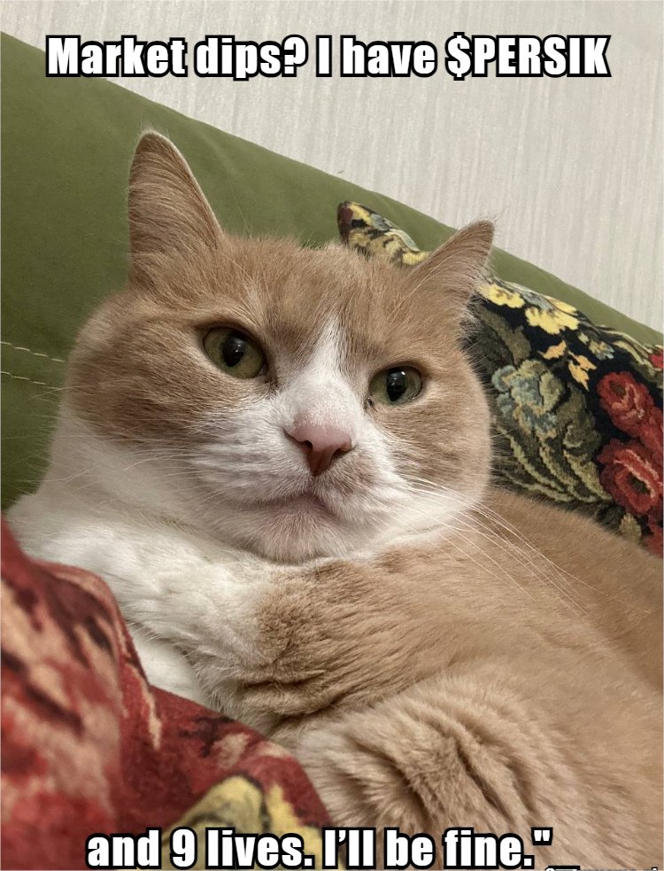 #SolanaMeme $PERSIK #Diamond_paws 🐱