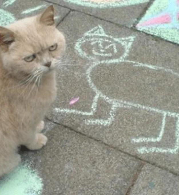 …is this supposed to be me? 