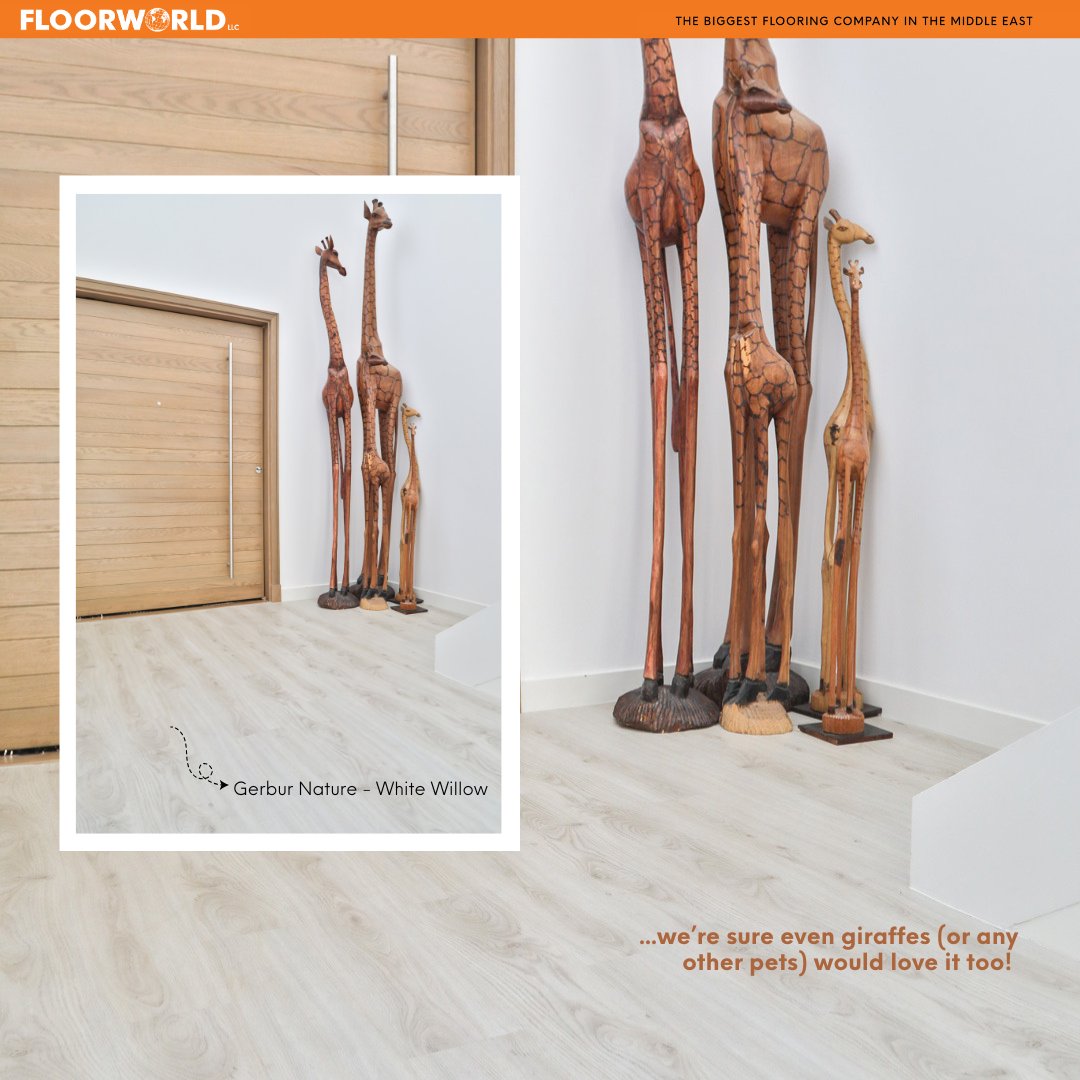 Floorworld's tweet photo. From paws to hooves (or, you know, giraffe statues 🦒)—our LVT floors are loved by all kinds of 'residents.' 

IYKYK. ;)  

Let Floorworld help you pet-proof your homes! 😍
.
.
.
.
#Floorworld #PetFriendly #LVTforthewin https://t.co/VXrdT5joOw