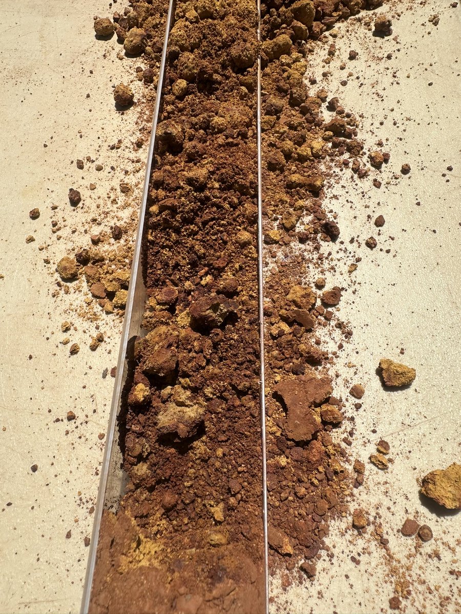 Completed root coring with <a href="/_sarah_rich/">Sarah Rich</a> to 1.5 and 3m depth at Buntine WA. Detailing wheat rooting depth with early germination when deep sowing (11cm) into moisture. More sites to be assessed🤞<a href="/theGRDC/">GRDC</a> <a href="/CSIRO/">CSIRO</a> #longcoleoptilewheat