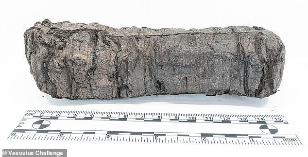 PhilomathicM's tweet photo. Can you #decipher the #scrolls? #Scientists offer a £400,000 #prize? They were turned to #carbonized #lumps by #catastrophic #eruption of #Mount #Vesuvius in AD 79. Now, scientists are offering £400,000 to #person deciphering the charred Herculaneum Scrolls. #challenge
@DailyMail https://t.co/hz2sZdId5i