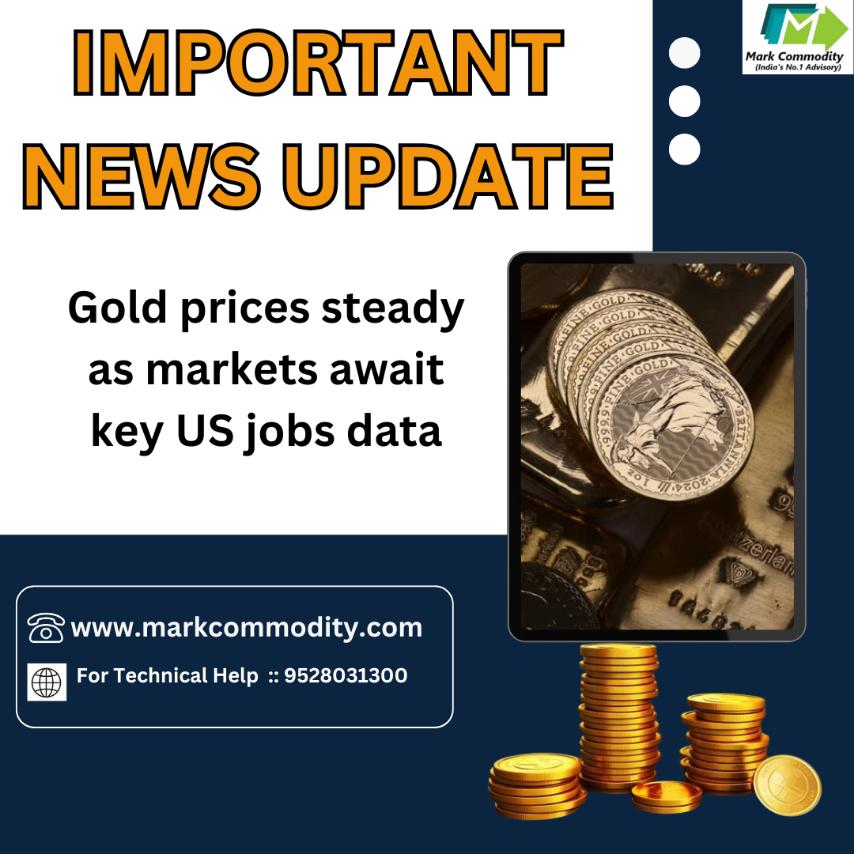 CommodityMark's tweet image. IMPORTANT NEWS UPDATE' S 

Gold prices steady as markets await key US jobs data

For Technical Help  ::  9870723517
markcommodity.com.
#mcxtips #freemcxtips #livemcxtips #livemcxnews #mcxhnitips
#goldnews #goldupdate #goldtips #goldhnitips #livegoldtips
