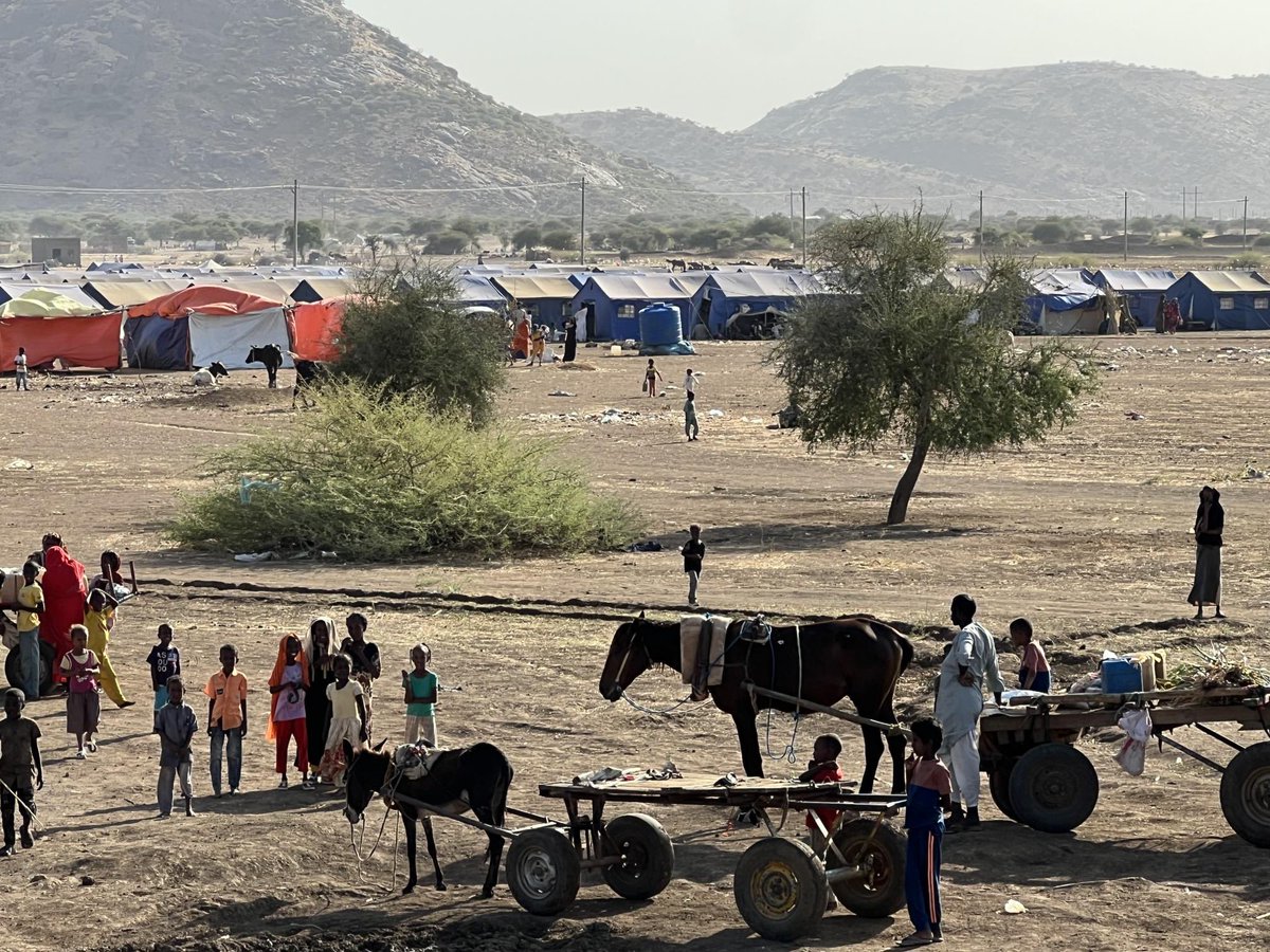 Our teams still working to respond to people who fled into Gedaref from atrocities in Al-Gezira. Another five thousand survivors being assisted with relief supplies and multipurpose cash this week, thanks to 🇪🇺🇩🇪 The scale of internal displacement in #Sudan is extreme.