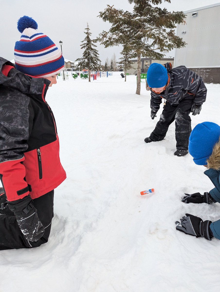 Ms Barrington tweet media