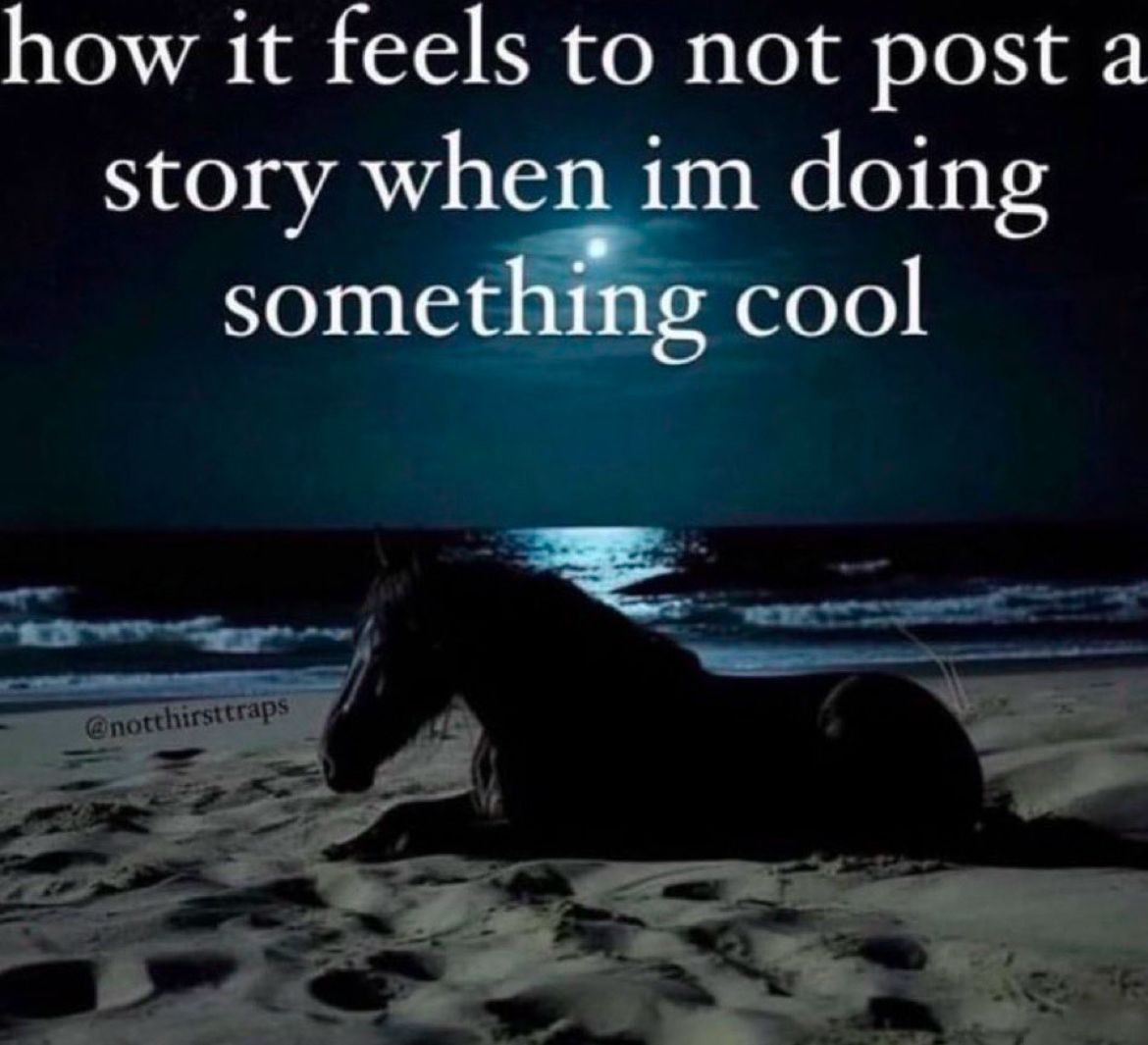 Wild Posts tweet media