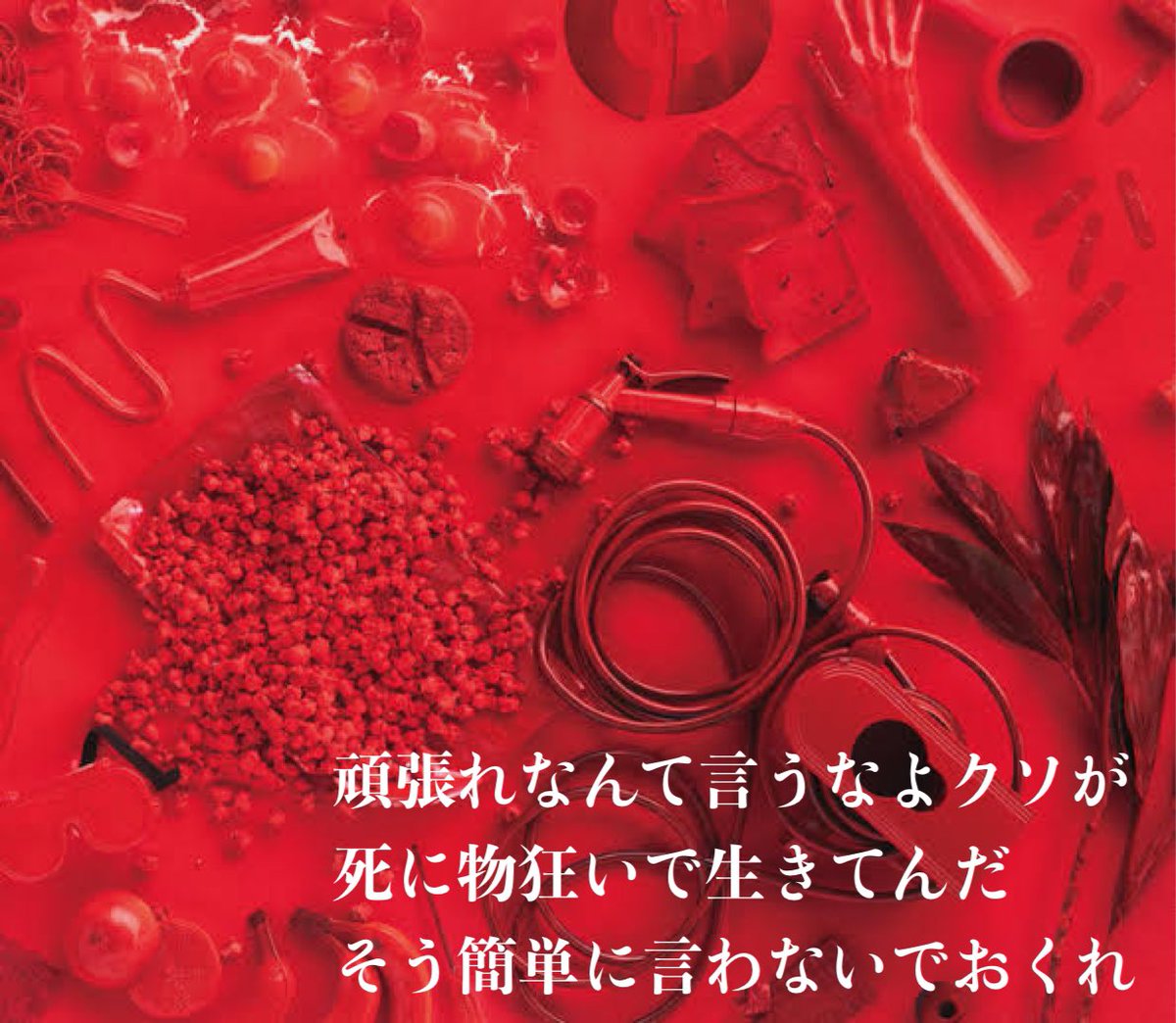 頑張れなんて言うなよクソが
死に物狂いで生きてんだ
そう簡単に言わないでおくれ
<a href="/aimyonGtter/">あいみょん 🦭</a> 
#あいみょんの歌詞のここが好き