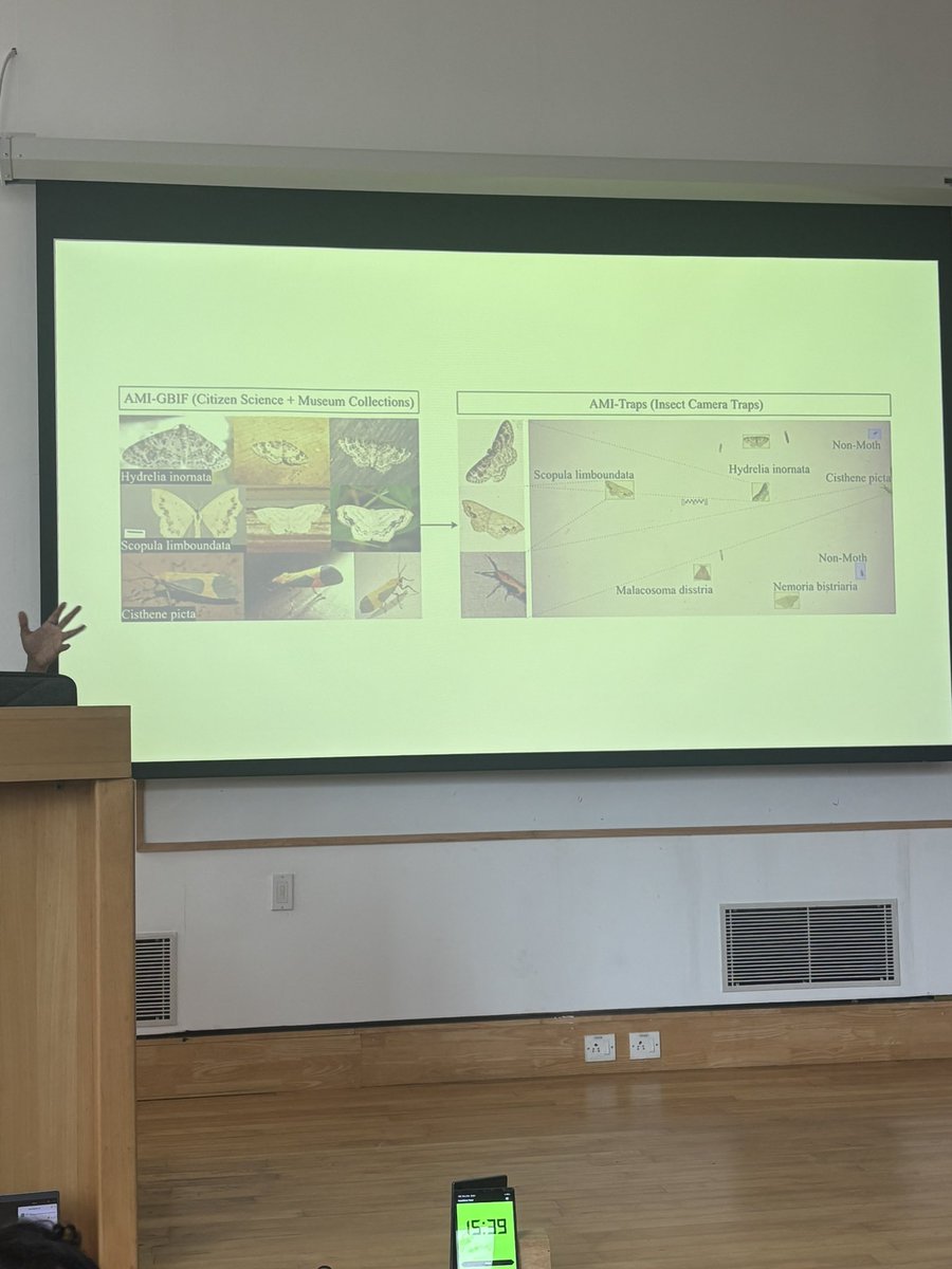 pritha126's tweet image. What is state of India’s insects? We organised to draw up a blueprint for their future. Taxonomy, technology, citizen science and building natural history are some of the dimensions which are becoming increasingly crucial to understand insect populations in India.
#insects