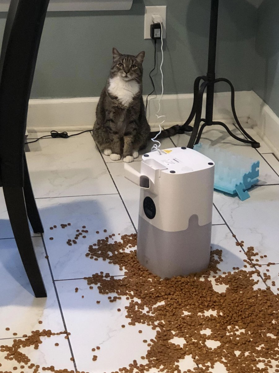 He’s so very proud of himself
