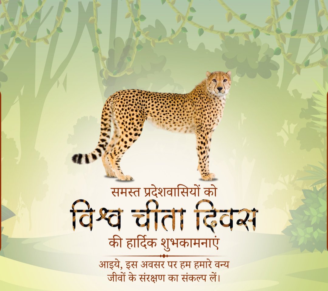 satyavi33429214's tweet photo. आप सभी को विश्व चीता दिवस की हार्दिक शुभकामनाएं 🌷🌷🌷#HappyTigerDay🌺🌹 https://t.co/KmPU4sNryL