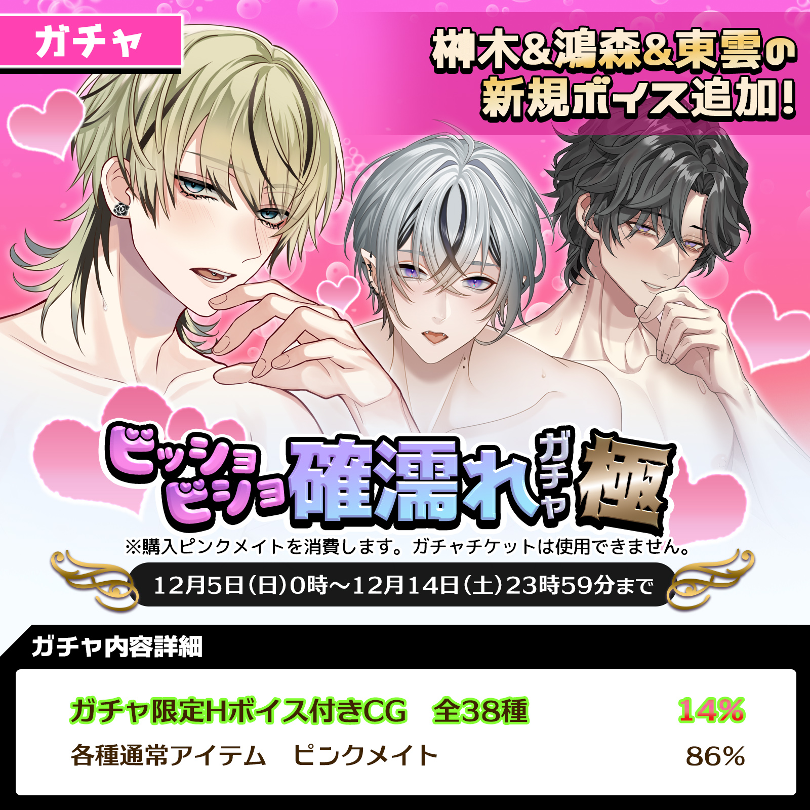 プラスメイト　榊木庵　くじ　かれ×ぬい　カード プラスメイト 榊木庵 くじ かれ×ぬい カード PLUSMATE クリア