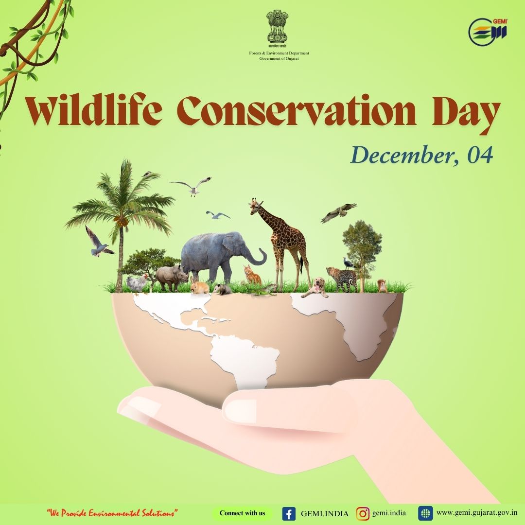 GEMI_Gujarat's tweet photo. "Conserving wildlife is not just about saving animals; it's about securing  a Sustainable future for all of us"
#gemiindia #forestdepartmentgujarat #moefcc #GeerFoundation #gujaratinformation #environment #WildlifeConservationDay #Savewildlife https://t.co/rP9tGQFdNx