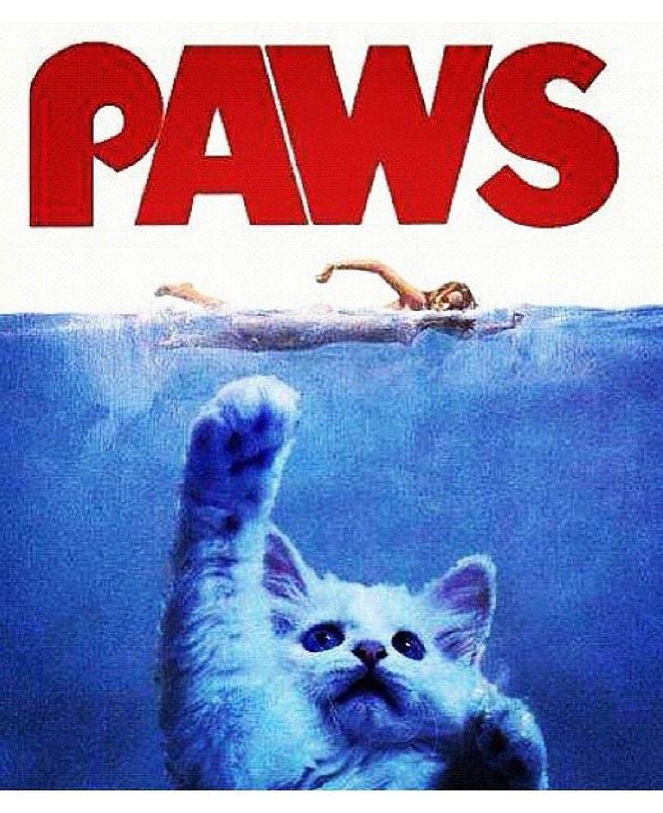 thesiansims's tweet photo. #FelineFilms PAWS https://t.co/6JxgAZFiem