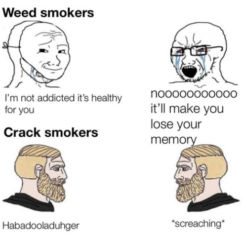 ShitpostGate's tweet photo. https://t.co/tSDifGcyTE