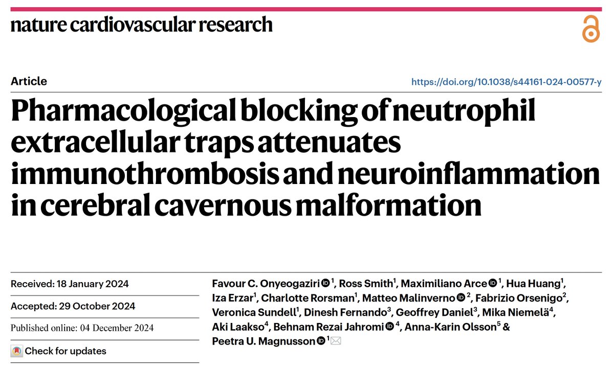 Faayvour's tweet image. I&apos;m pleased to announce that our #NCVR publication has now been released. @MagnussonLab  we present the roles of #NETs in the progression of cerebral cavernous malformations (CCM)  

Read at: doi.org/10.1038/s44161… 
#NETosis #CureCCM #TreatCCM #rarediseases