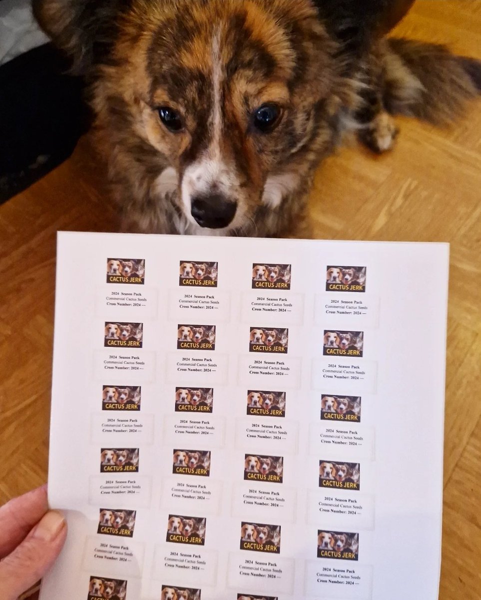 I've put Meeka, Kami and Snoopy on the seed labels for my 2024 seed packs and Meeka approves. 🤗