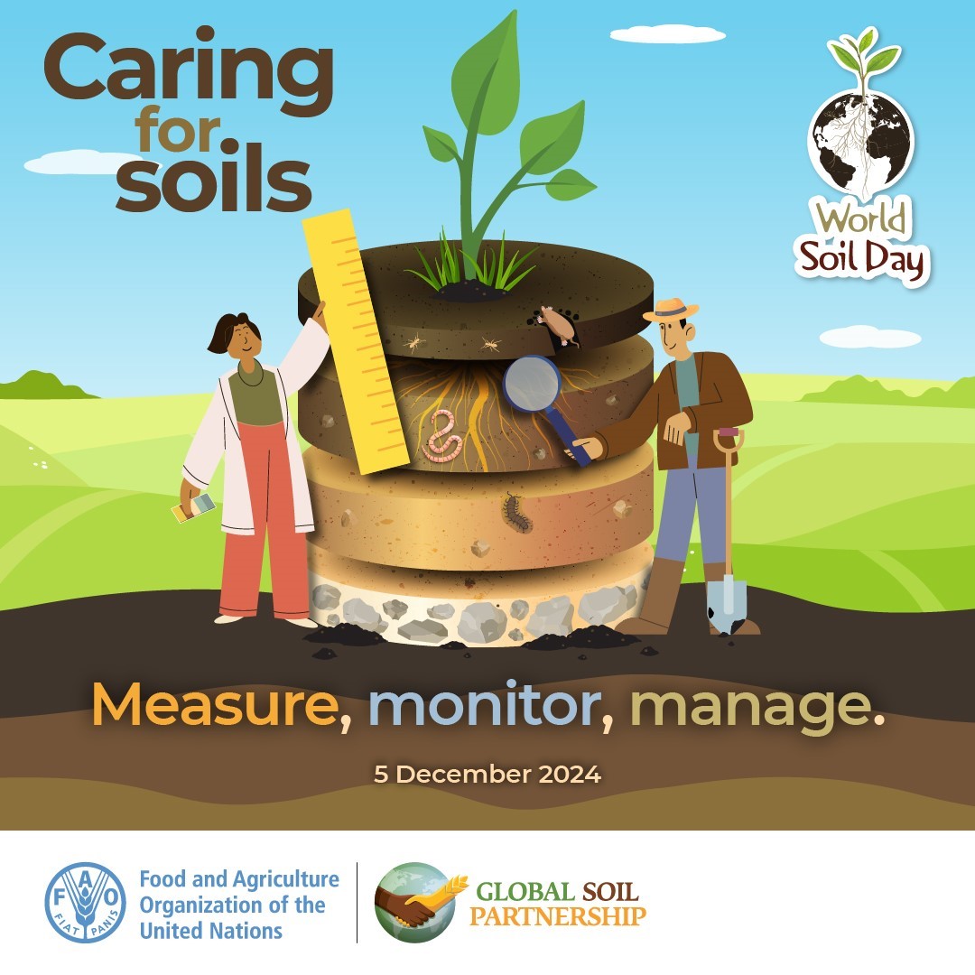 Hyvää kansainvälistä maaperäpäivää!

Vuodesta 2013 lähtien 5.12. on ollut kansainvälinen maaperäpäivä. Päivän tarkoituksena on parantaa ihmisten tietoisuutta maaperän toiminnasta ja sen merkityksestä ihmisen ja luonnon hyvinvoinnin perustana.

#maaperäpäivä