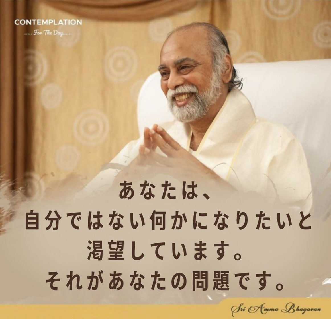 GOLDEN AGE MOVEMENT JAPAN tweet media