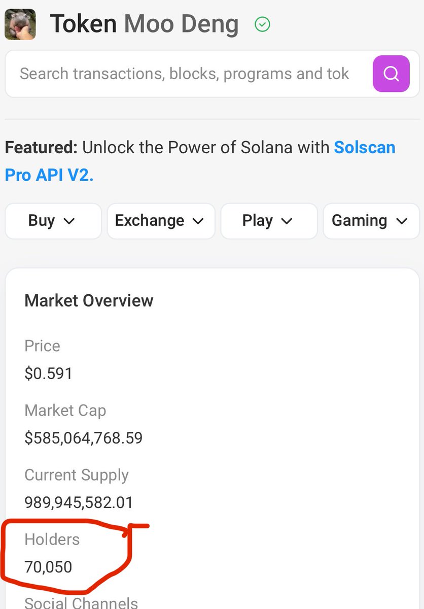 Congrats MOODENG family for the 70K holders <a href="/MooDengSOL/">Fan Page | Moo Deng</a>