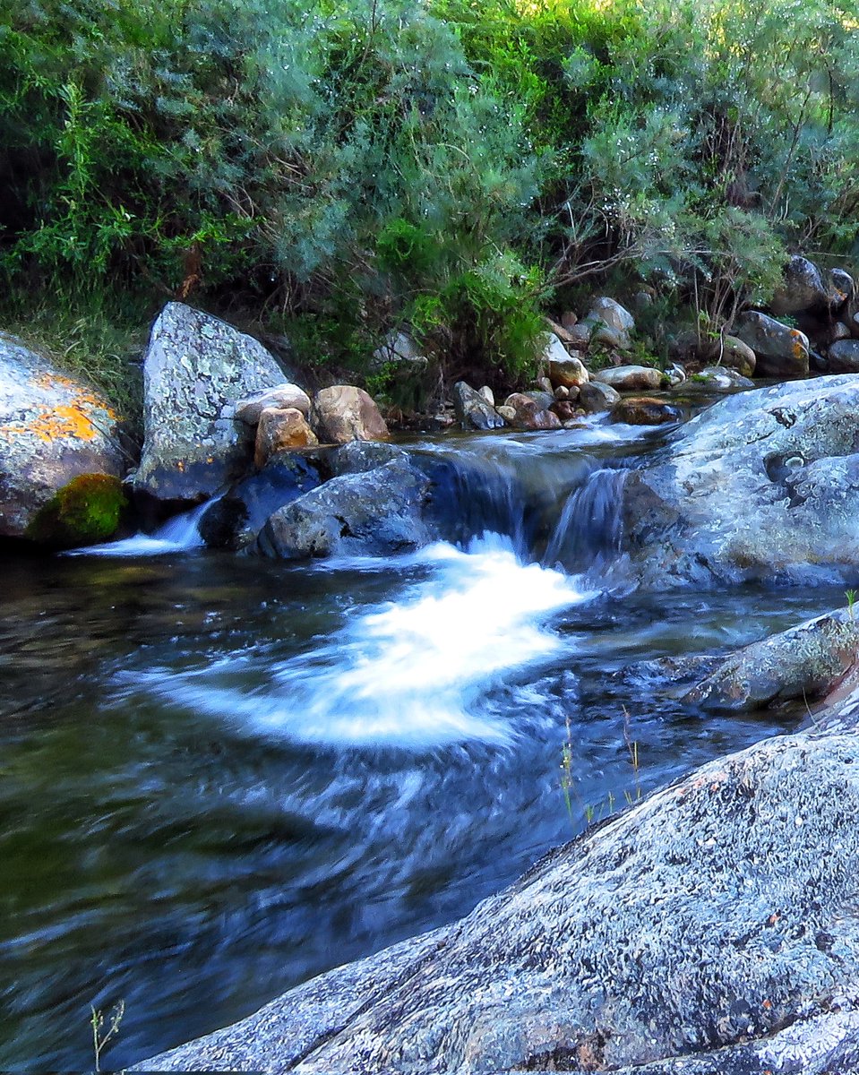 gotravelbug's tweet image. See you here 📌 
bsky.app/profile/gotrav…
#GardenRoute #SouthAfrica