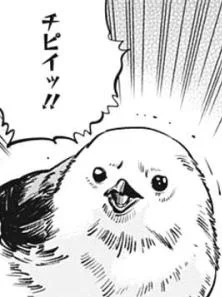 きな子やのんちゃん関連でシマエナガ見るたびにコイツが頭をよぎってごめんなさいごめんなさいと謝りたくなるし今ワシは鶏肉を食べている 