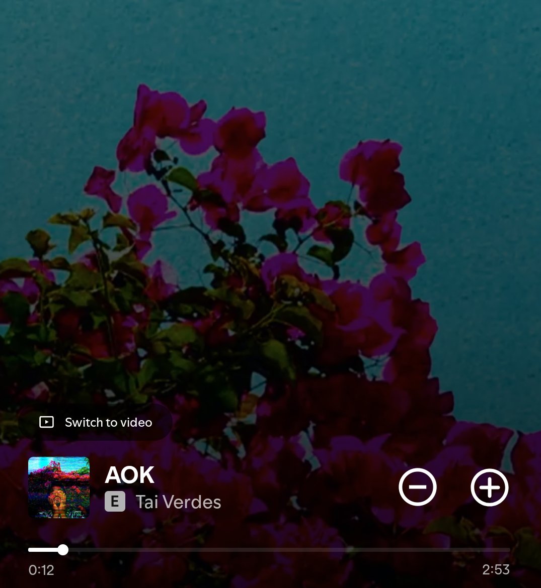 chronicle11's tweet image. Hello, endorphins. #shakeoutrun 😌