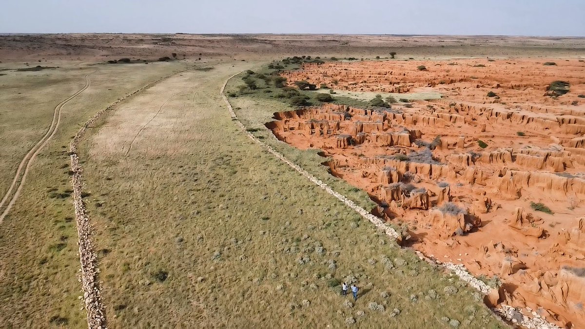Some Somali nomads may know how to deal with drought 

A recent <a href="/UNDP/">UN Development</a> study reveals why some Somali pastoralists are more resilient than others

More:undp.org/somalia/blog/d…