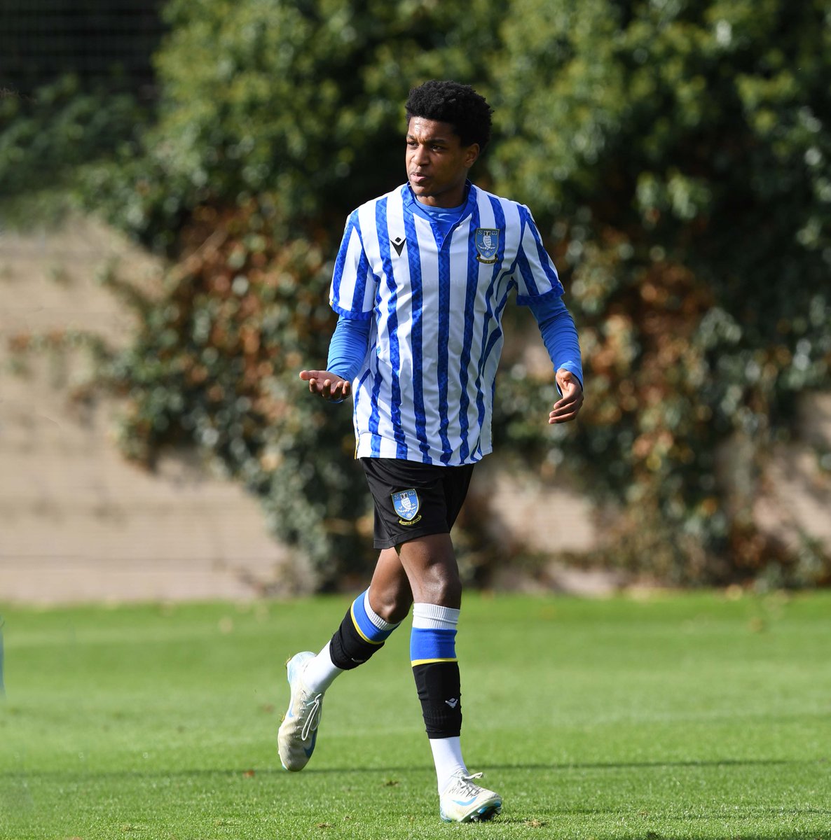 Sheffield Wednesday tweet media