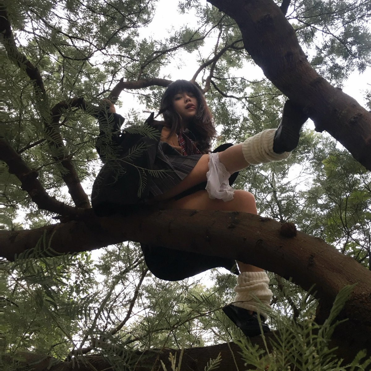 今天看西西爬树
<a href="/xixi_net/">Elara</a>