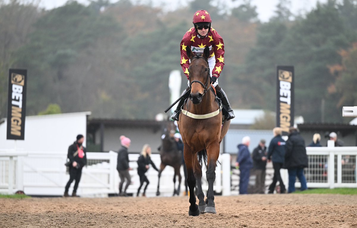 ExeterRaces's tweet photo. Festive Raceday this Friday๐ฅณ
72 runners declared across the card, making sure itโs an action packed day๐
Donโt miss out on music, a reindeer rodeo bull, mulled wine & mince pies (first come, first serve)๐ท๐
๐ผ
#festiveracing #exeterraces #christmasplans https://t.co/w92xKUzfVB