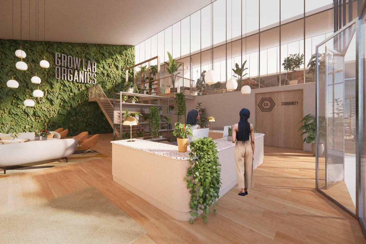 MailenDesign tweet media