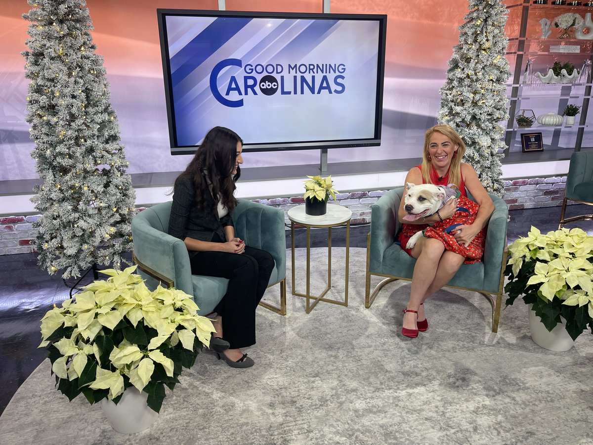 Simon Williams (@simonwpde) on Twitter photo Just a little jealous of our Pet of the Week, Maggie, because she gets to hang out in her PJs ππ€© <a href="/SydneyMadisonW/">Sydney Madison</a> is speaking with Kind Keeper on Good Morning Carolinas! Just a little jealous of our Pet of the Week, Maggie, because she gets to hang out in her PJs ππ€© <a href="/SydneyMadisonW/">Sydney Madison</a> is speaking with Kind Keeper on Good Morning Carolinas!