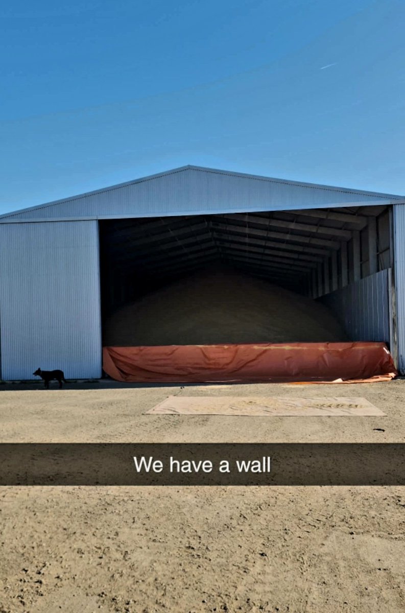 IBCs and a tarp... anything to squeeze a few more tonne in 👌
#Starkeyfarms #harvest2024