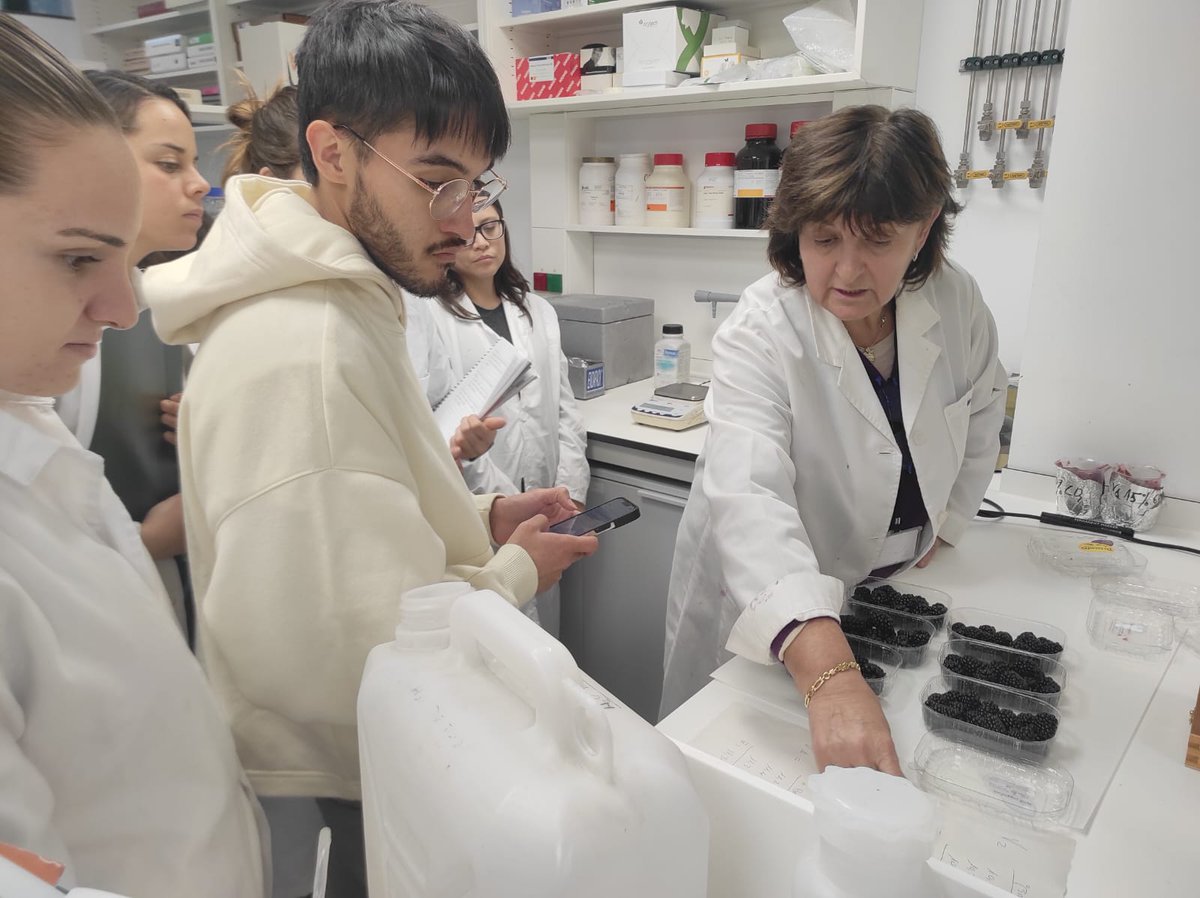 masterMIA_UCM's tweet photo. Nuestro alumnado ha visitado el @ICTAN y ha podido participar en dos talleres científico-técnicos sobre las altas presiones hidrostáticas⚗️(Dr. Antonio Molina) y la importancia de la biología molecular aplicada a la postcosecha 🍎(grupo POSTBIOTEC)
¡Como siempre, un placer! https://t.co/qw4Ghsynqq