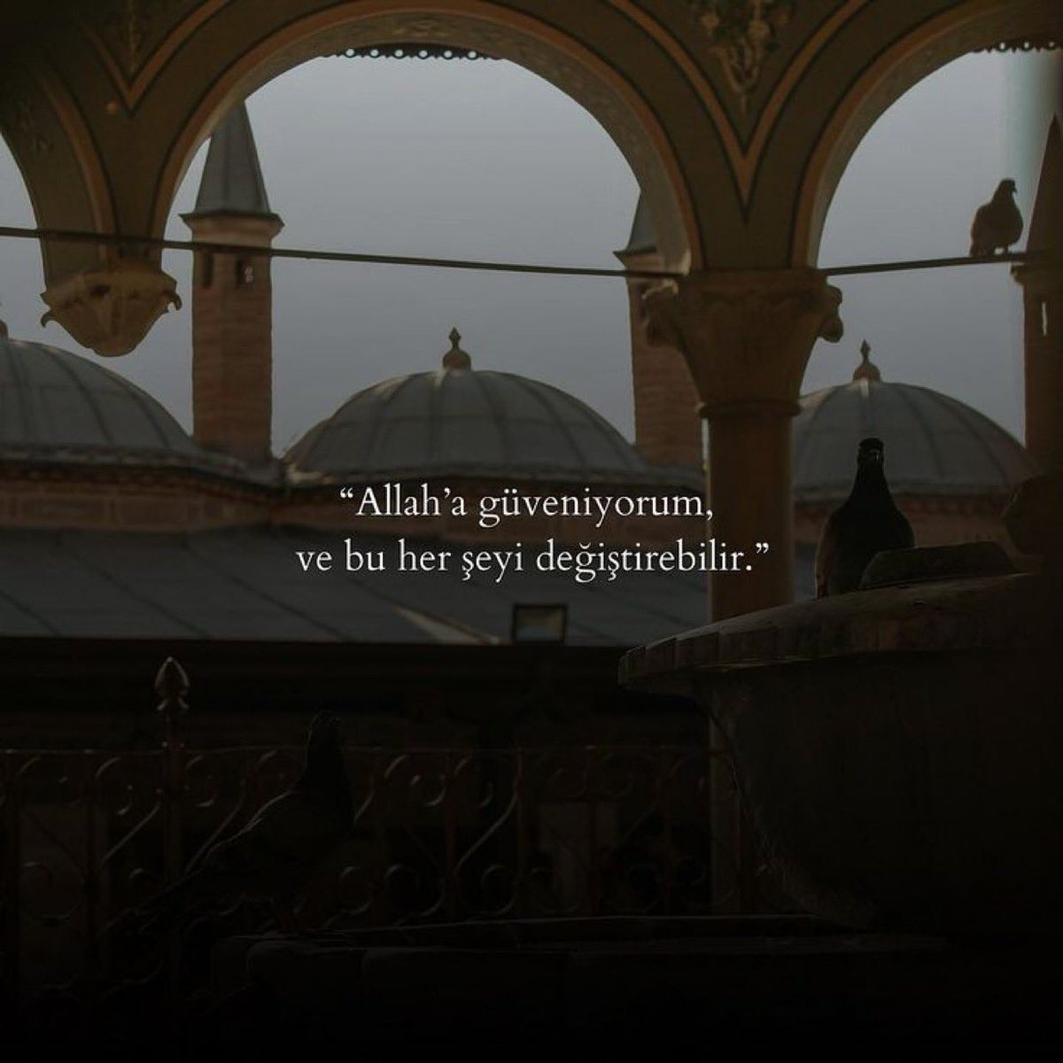 “Nasibe inanan yolda, Allah'a güvenen darda kalmaz.”