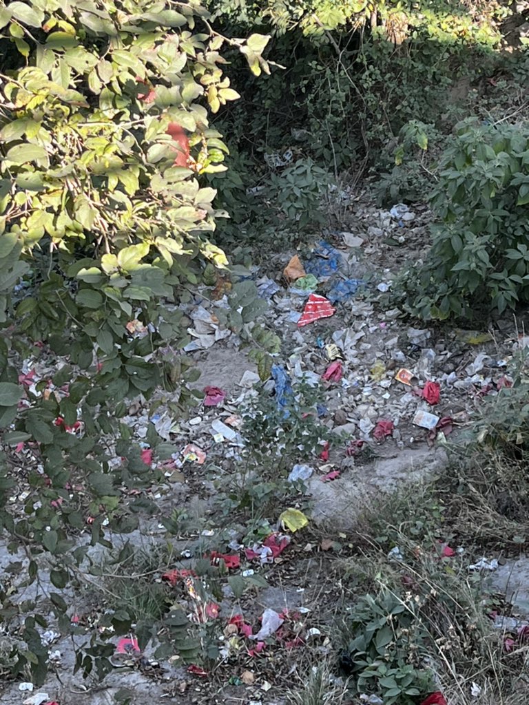 Went to Maa Chandi Devi temple in Haridwar today. Very well organized, staff were extremely helpful, rope way makes it easy. Only eye sore is the plastic thrown everywhere inspite of instruction to keep it green.