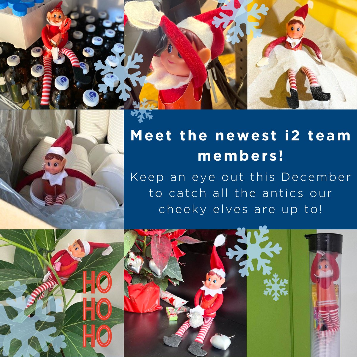 This December, our sites are being taken over by some mischievous little helpers! That’s right – Santa’s elves have swapped the North Pole for our locations, spreading holiday cheer and lending a hand (or at least pretending to)! 🎁 🎅 #ElfOnSite #HolidayCheer #TeamSpirit