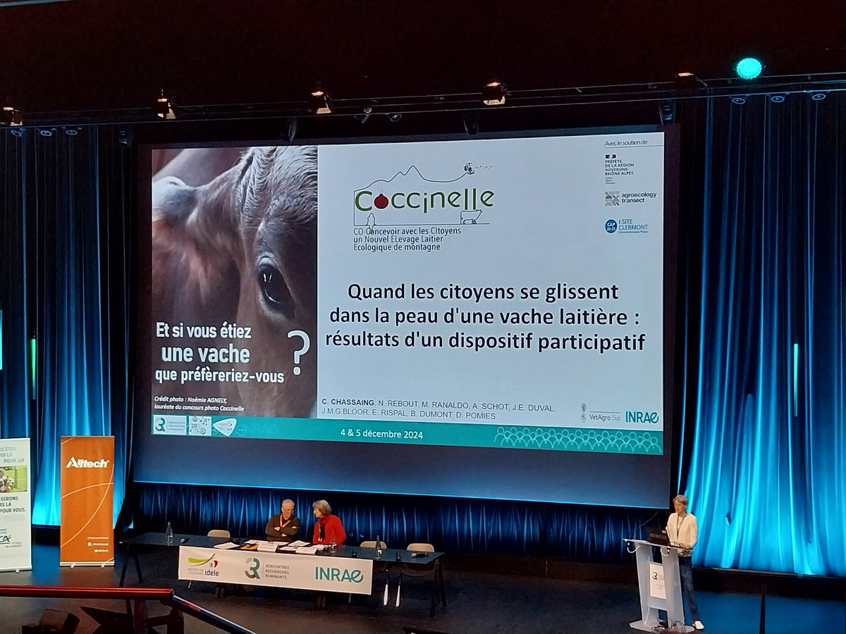 Et si vous étiez une vache, que préféreriez-vous ? 

Un #thread 👇