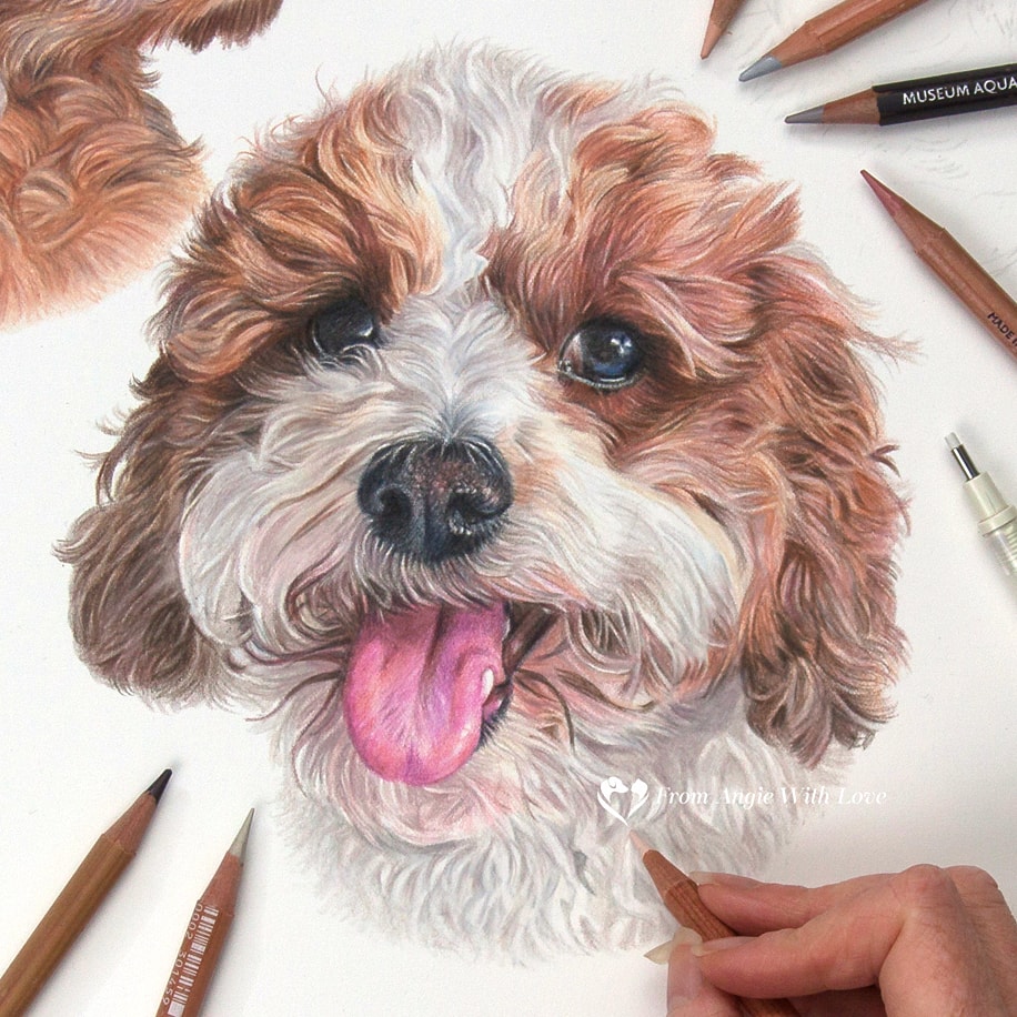 AngieWFineArt's tweet image. I'm currently working away on 2 more secret commissions which I can't wait to share after the big day.
Here's Fraggle who I drew a couple of years ago, she's a 5 1/2 years old Cavapoochon. 
angiewallacefineart.com
#cavapoochon #petportrait 
#dog #pet #dogportrait